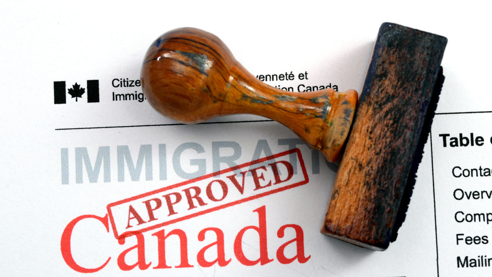 Why Choose SMIC Immigration Consultation